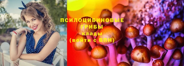 spice Арсеньев